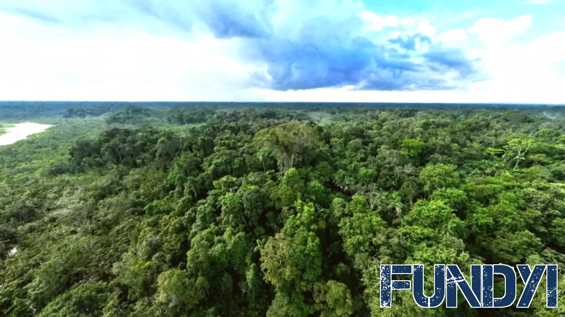 Exploring the Tropical Forest Forever Facility: A New Approach to Forest Conservation