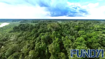 Exploring the Tropical Forest Forever Facility: A New Approach to Forest Conservation